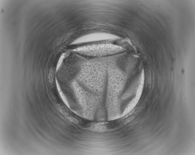 X0000085820078200704091643