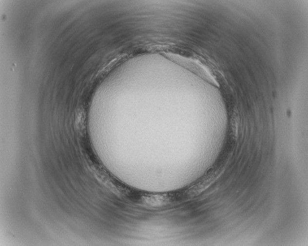 X0000085820079200704091643