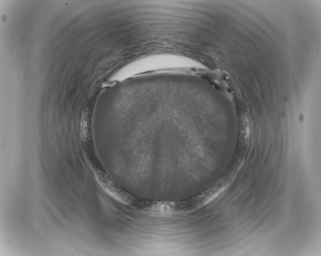 X0000085820080200704091643