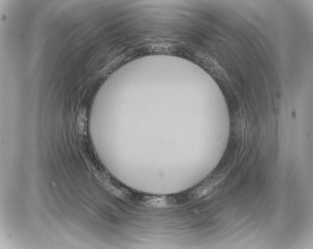 X0000085820083200704091643