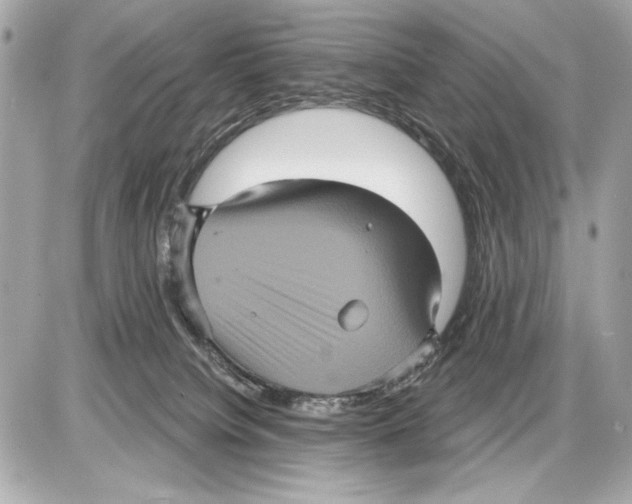 X0000085820084200704091643