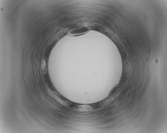X0000085820087200704091643