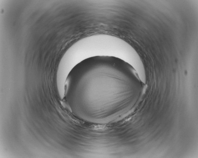 X0000085820088200704091643
