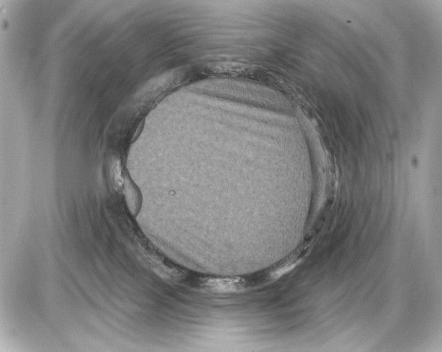 X0000085820089200704091643