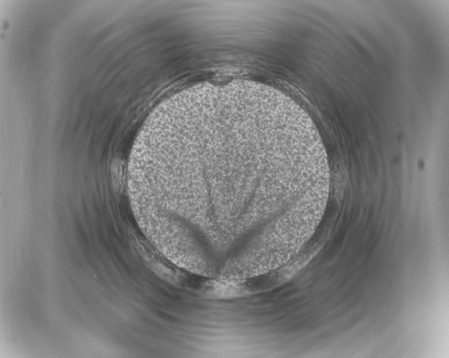 X0000085820093200704091643