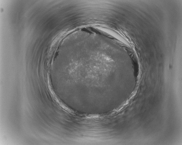 X0000085820097200704091642