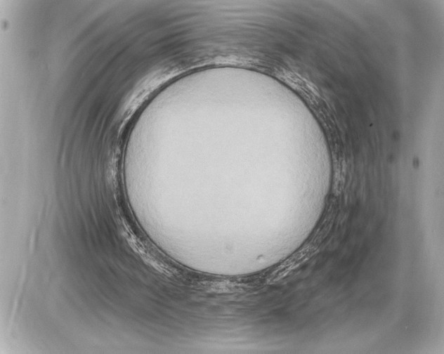 X0000085820098200704091642