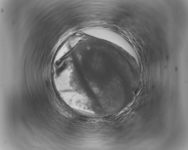 X0000085820099200704091642