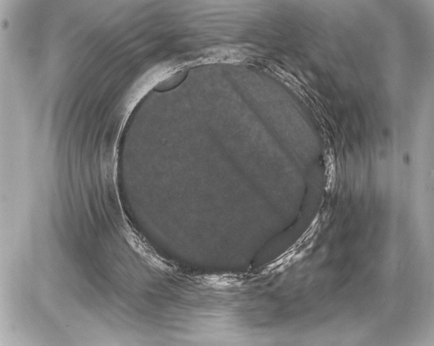 X0000085820100200704091642