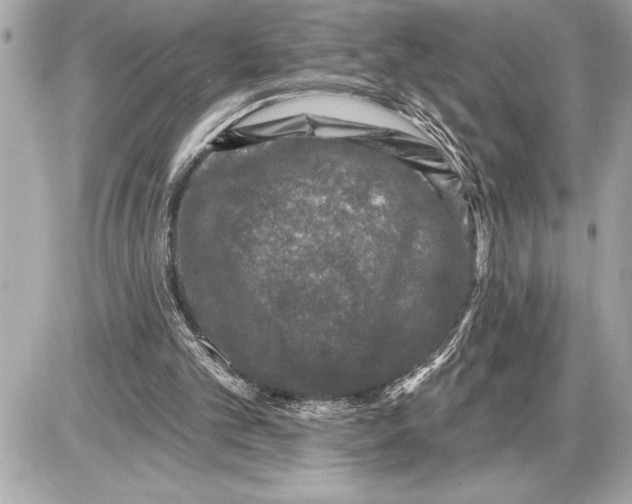 X0000085820101200704091642