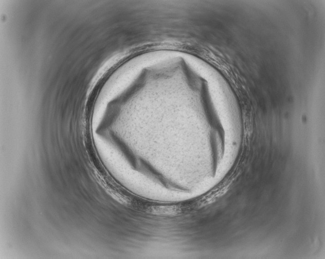 X0000085820102200704091642