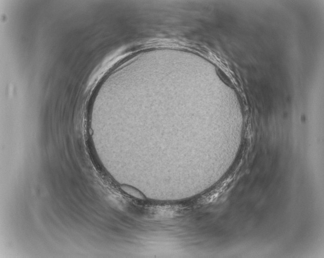 X0000085820103200704091642