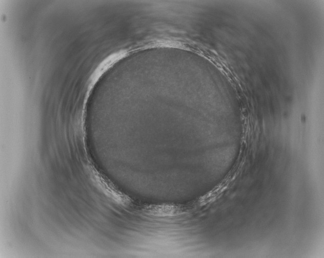 X0000085820104200704091642