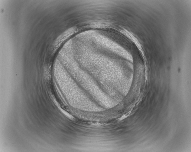 X0000085820105200704091642