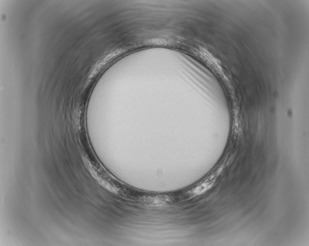 X0000085820106200704091642