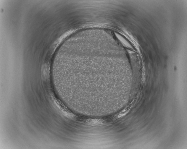 X0000085820107200704091642