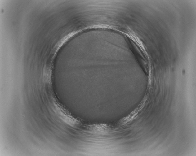 X0000085820108200704091642