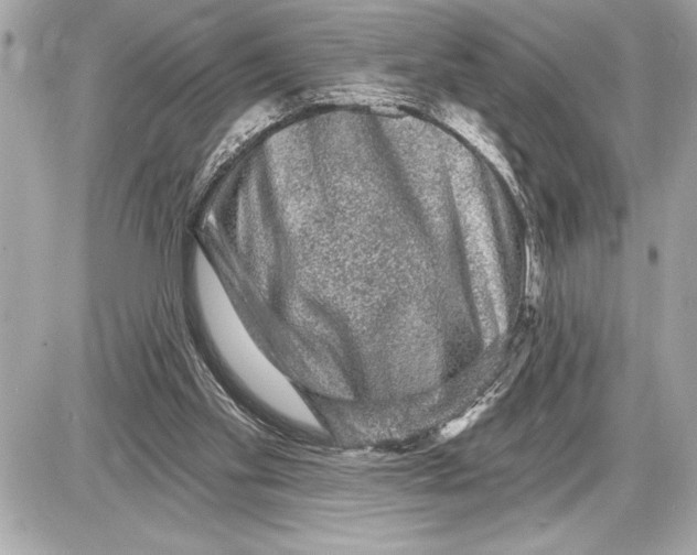 X0000085820109200704091642