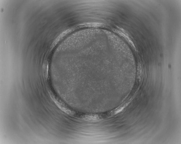 X0000085820110200704091642