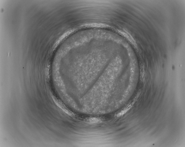 X0000085820111200704091642