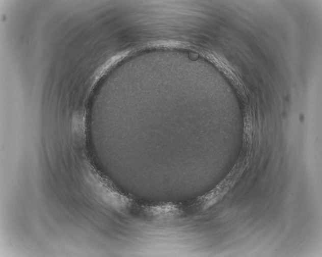 X0000085820112200704091642