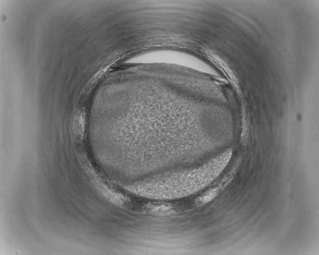 X0000085820113200704091642