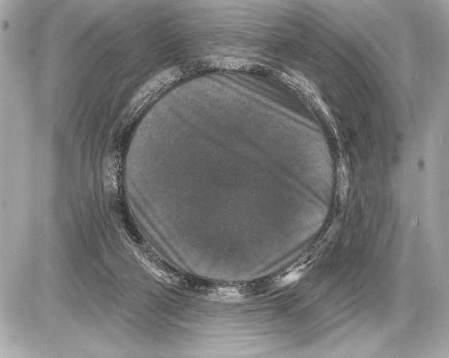 X0000085820114200704091642