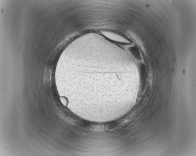 X0000085820115200704091642