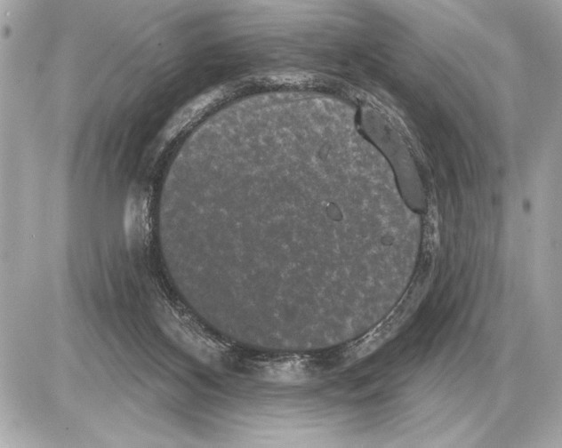 X0000085820116200704091642