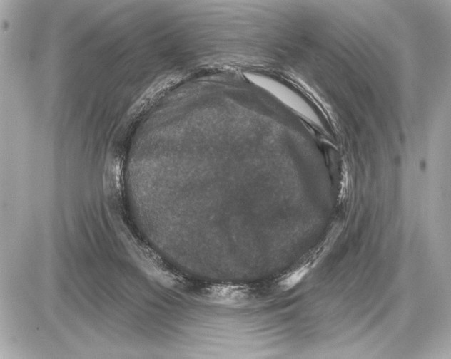 X0000085820117200704091642