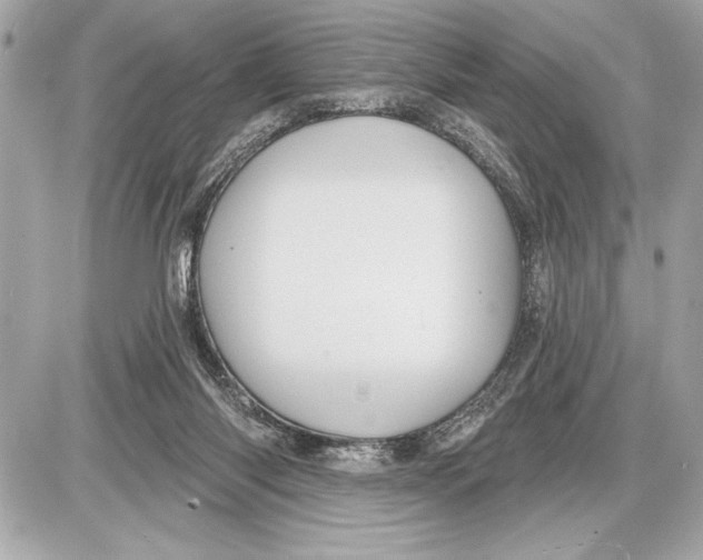 X0000085820118200704091642