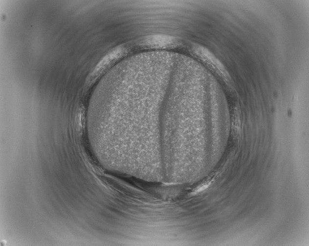 X0000085820119200704091642