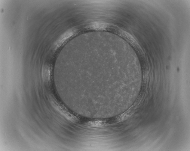 X0000085820120200704091642