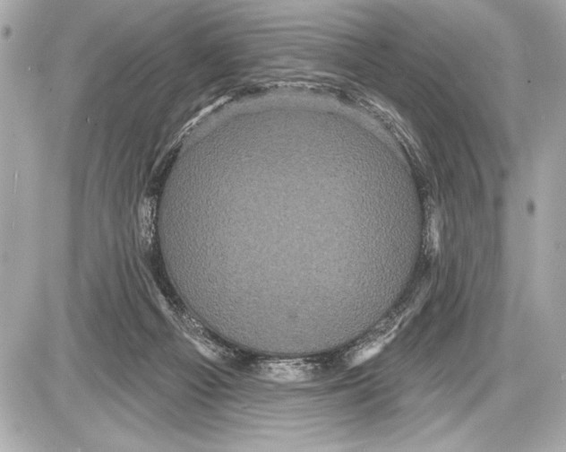 X0000085820121200704091642