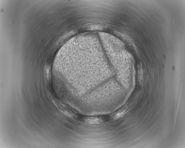 X0000085820123200704091642