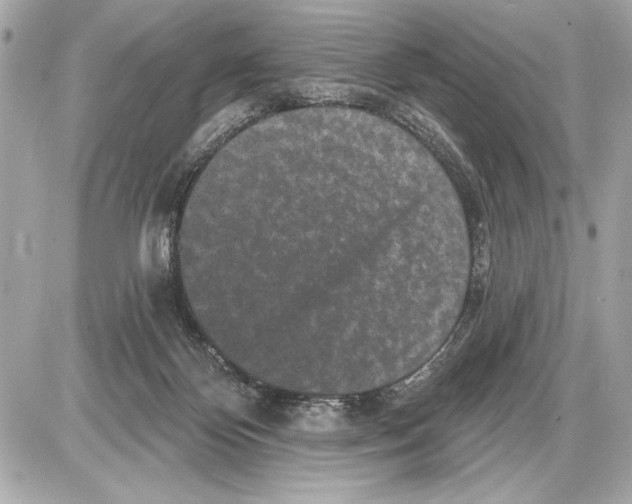 X0000085820124200704091642