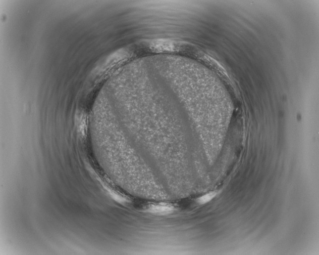 X0000085820125200704091642