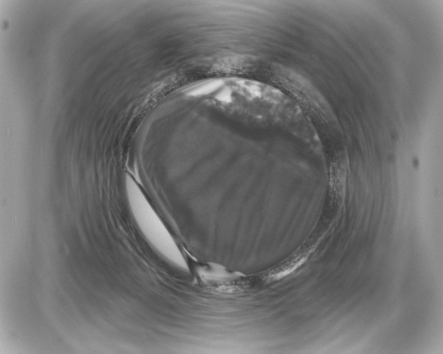 X0000085820127200704091642