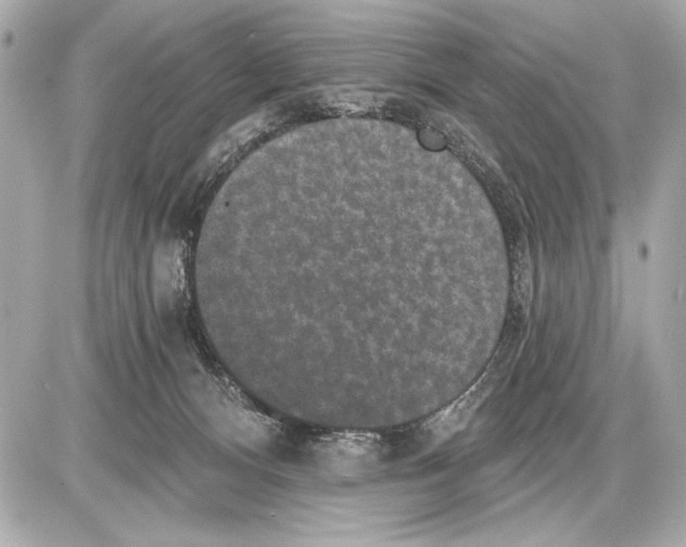 X0000085820128200704091642