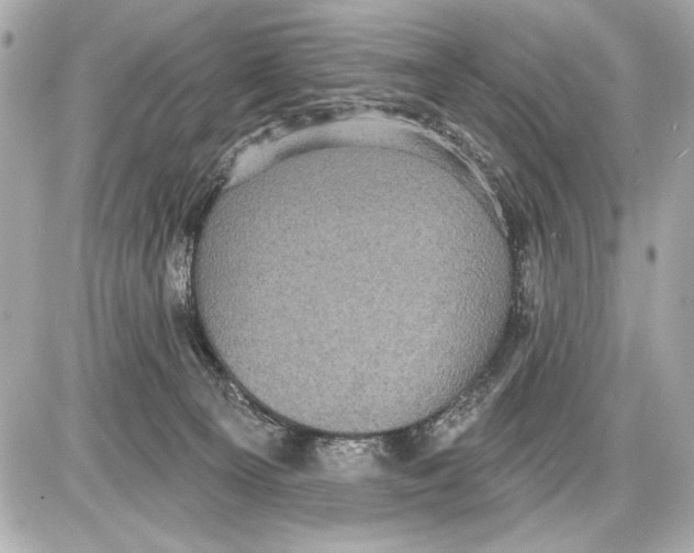 X0000085820129200704091642