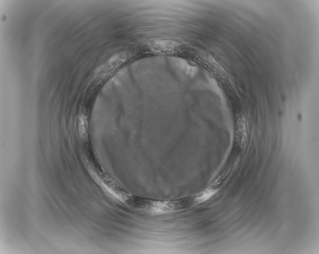 X0000085820130200704091642