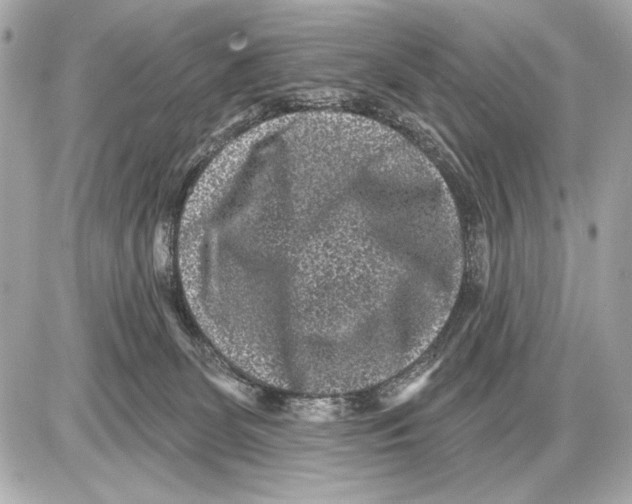 X0000085820131200704091642