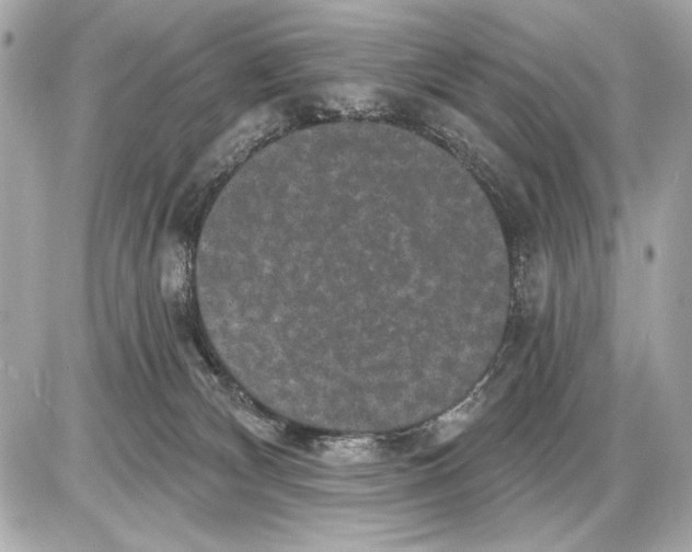 X0000085820132200704091642