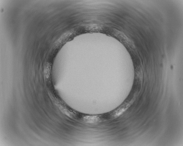 X0000085820133200704091642