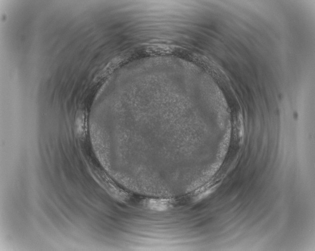 X0000085820134200704091642