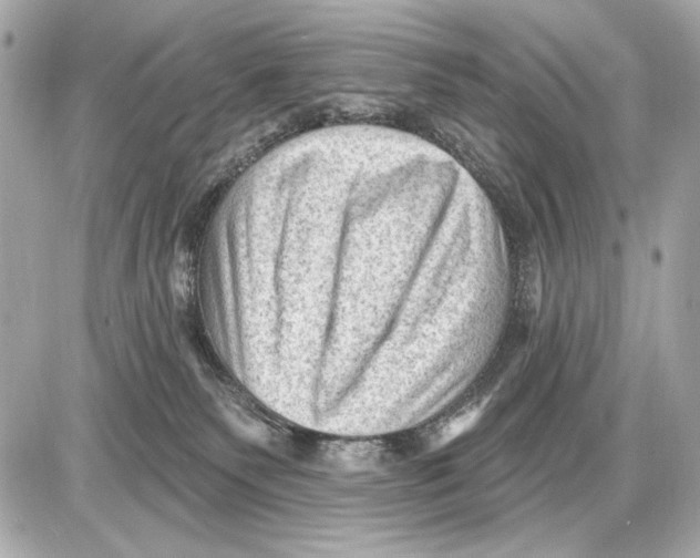 X0000085820135200704091642