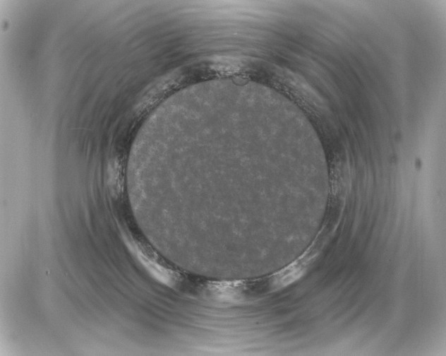 X0000085820136200704091642