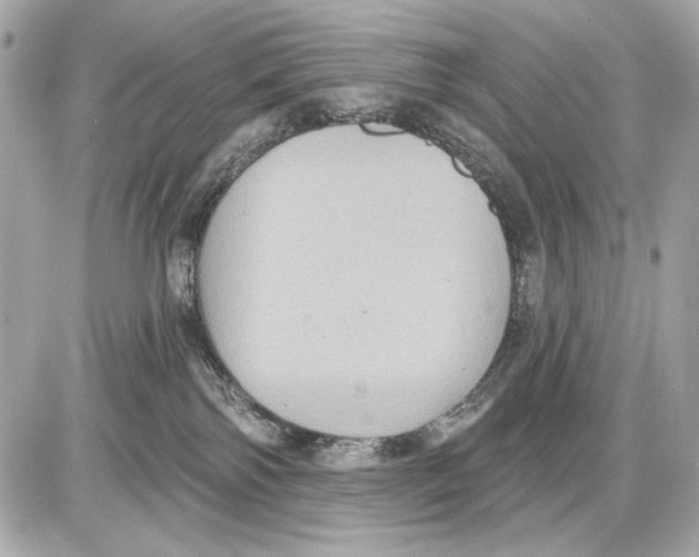 X0000085820138200704091642