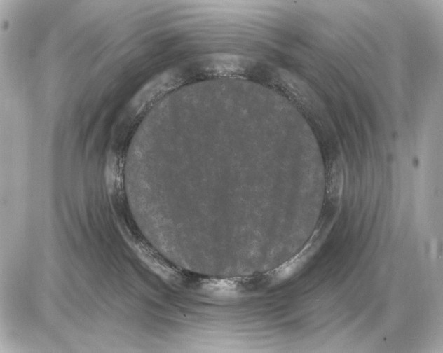 X0000085820140200704091642