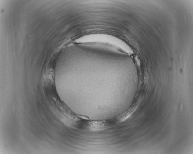 X0000085820141200704091642